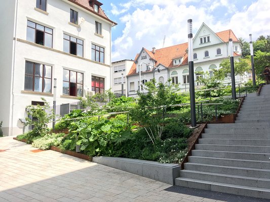 Neue Mitte Tailfingen