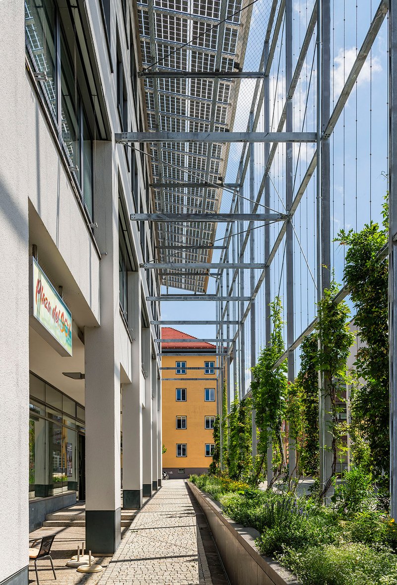 Technisches Rathaus Friedrichshafen
Fassadenbegrünung und Fotovoltaikanlage
Juni 2024