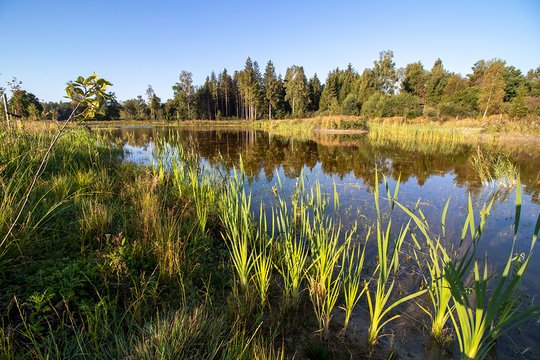 Heinz-Sielmann-Weiher