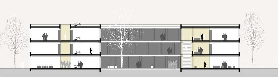 Drei Architekten Schnitt1