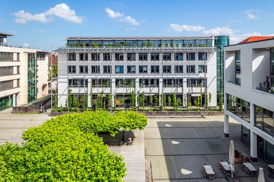 Fassadenbegrünung Technisches Rathaus