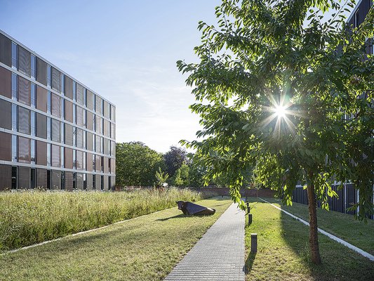 Außenanlagen Erweiterung Landratsamt