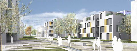 Reinhardt Perspektive