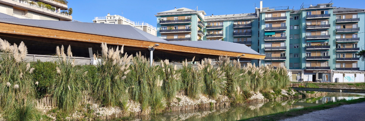 © Thomas Schneider-Graf