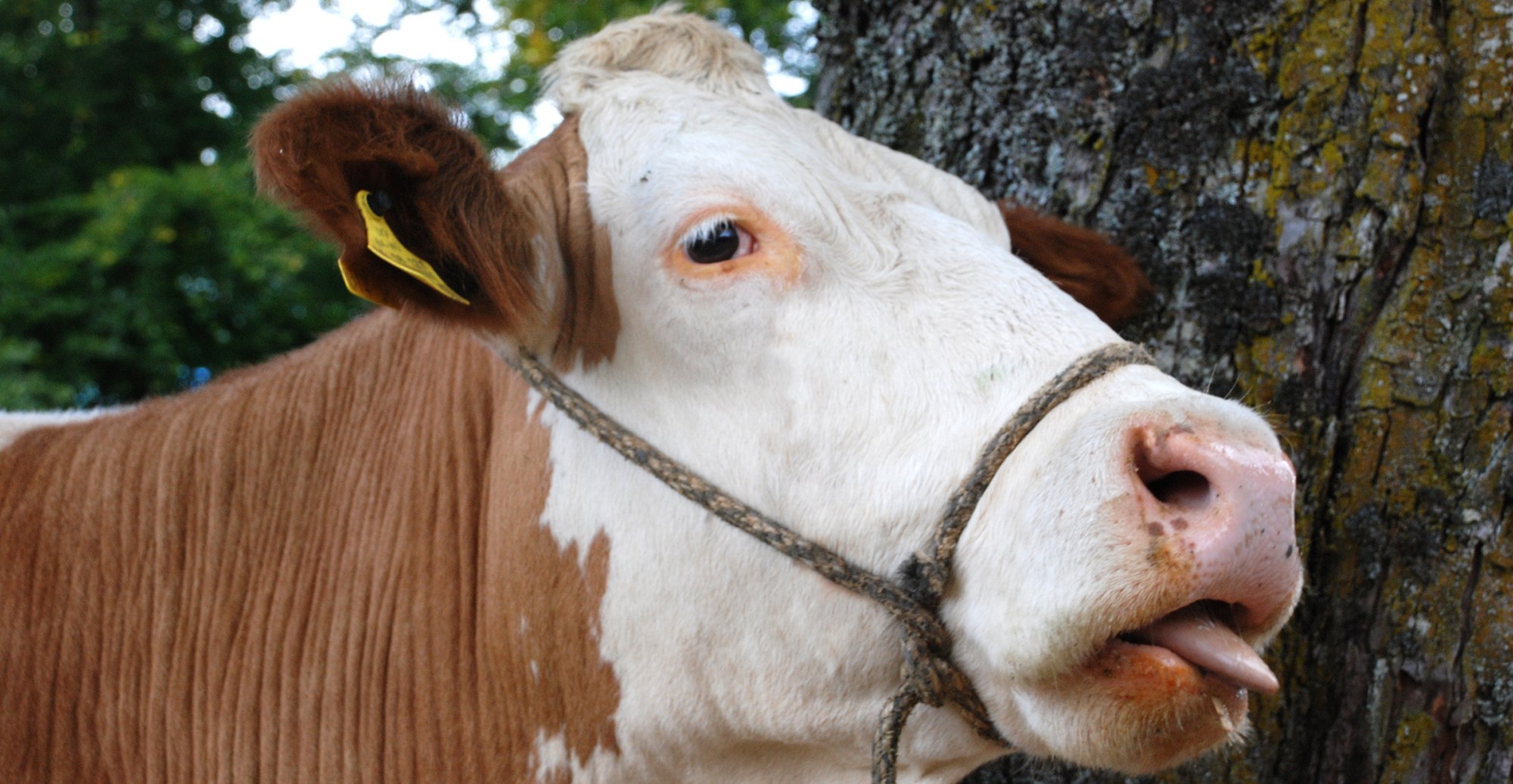 Foto: Mark Michels, 11 Jahre