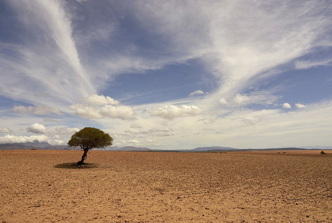Dürre Steppe © Wolfgang Hasselmann auf Unsplash