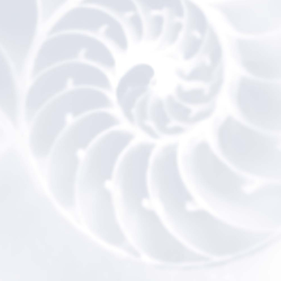 Alles zum Beispielhaften Bauen