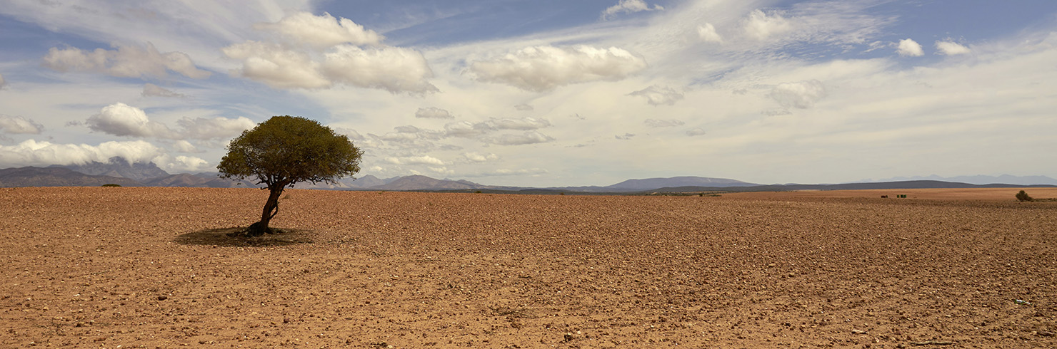 © Wolfgang Hasselmann auf Unsplash