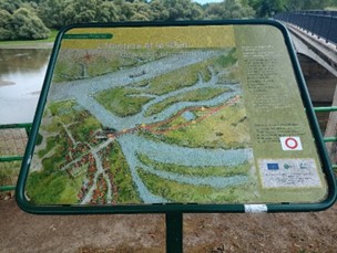 Foto Sylvia Mitschele-Mörmann